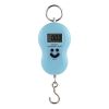 LCD Mini Digital Scales; Electronic Hanging Luggage Scale; Load 50Kg; 0.01Kg Pocket Weighting Fishing Scale Balance